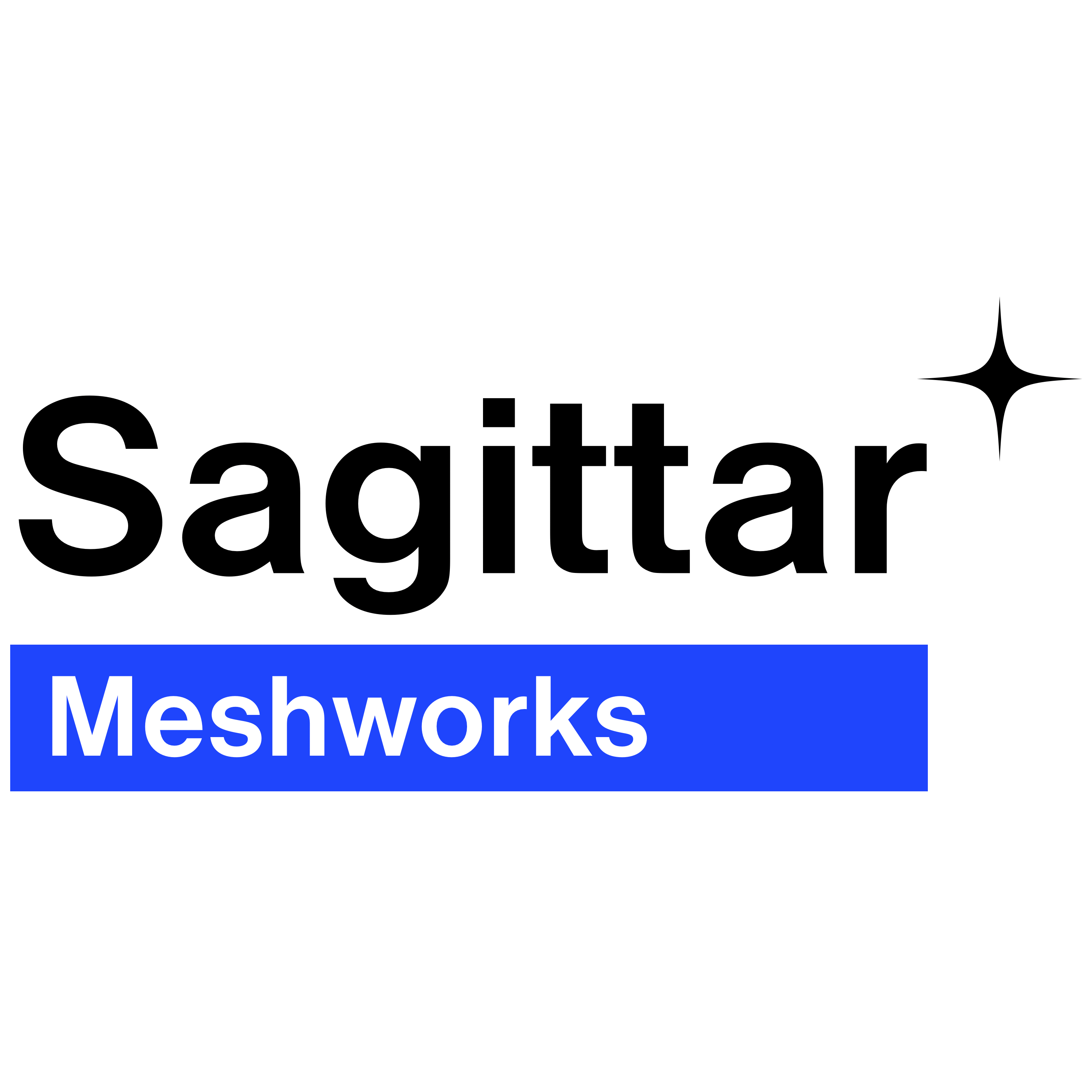 Sagittar Meshworks